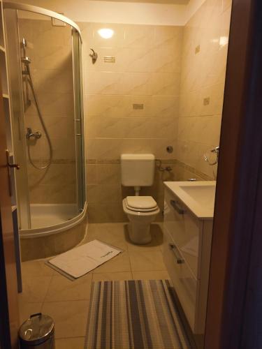 La salle de bains est pourvue d'une douche, de toilettes et d'un lavabo. dans l'établissement Apartman Vesna 4 persons, à Njivice
