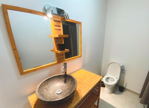 La salle de bains est pourvue d'un lavabo, d'un miroir et de toilettes. dans l'établissement STE LUCE 50M DE LA MER APPT STANDING T2 3/4 PERS KAZ'ANTILLAISE, à Sainte-Luce