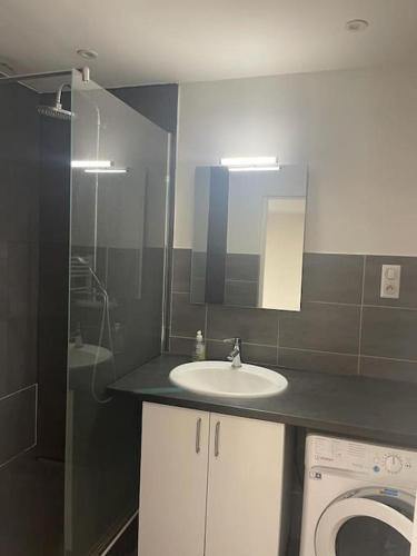 une salle de bain avec un lavabo et une machine à laver dans l'établissement Super Appart Strasbourg 6 pers centre-ville idéal, à Strasbourg