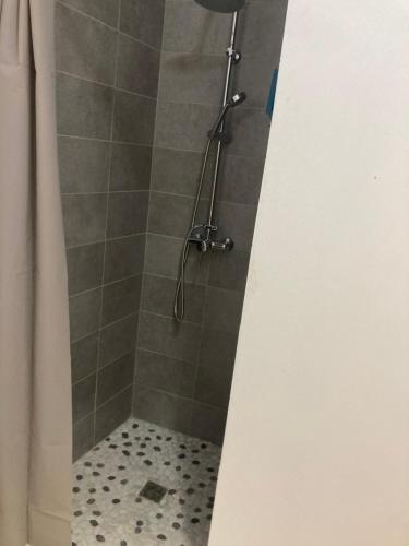 a bathroom with a shower with a tiled shower at STE LUCE 50M DE LA MER APPT STANDING T2 3/4 PERS KAZ'ANTILLAISE in Sainte-Luce