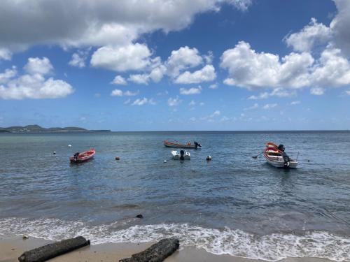 three boats sitting in the water on a beach at STE LUCE 50M DE LA MER APPT STANDING T2 3/4 PERS KAZ'ANTILLAISE in Sainte-Luce