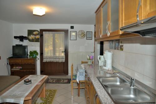 a kitchen with a sink and a counter top at Guesthouse Ana&Ljubo in Rastovača