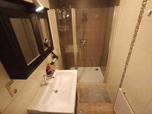 La salle de bains est pourvue d'un lavabo et d'une douche. dans l'établissement XL Large & Cozy 2 bedroom Apartment nearly Hallstatt & Bad Ischl, à Bad Goisern