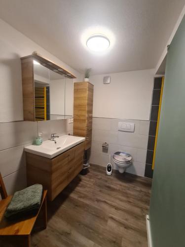 een badkamer met een wastafel en een toilet bij Wohnung mit 2 Schlafzimmern in Wutöschingen