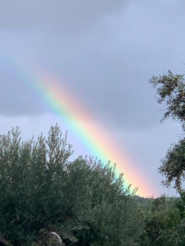 Φυσικό τοπίο κοντά σε αυτό το διαμέρισμα