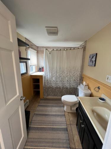 a bathroom with a toilet and a sink and a shower at Bright & Spacious 1 BR- King Bed & Private Yard in Providence