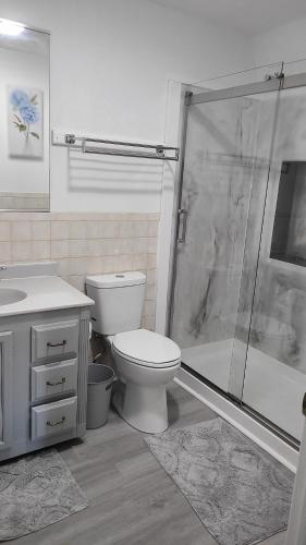 a bathroom with a shower and a toilet and a sink at The SIlo Retreat in Greene