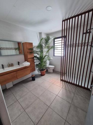 a bathroom with a sink and a toilet and a plant at Villa Piton Textor in La Plaine des Palmistes