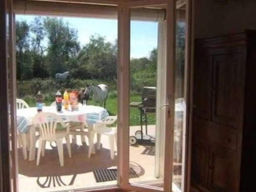 Taman di luar Plages de camargue et logement dans un site calme de rêve
