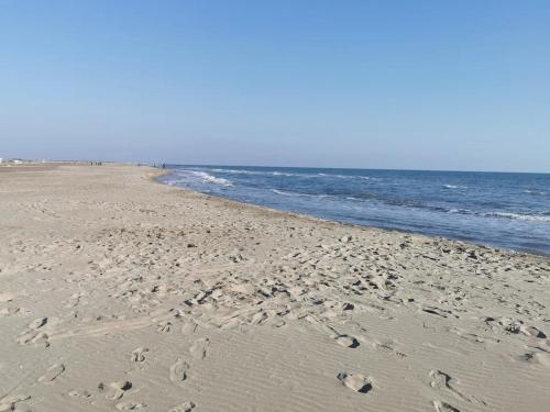 a beach with footprints in the sand and the ocean at Plages de camargue et logement dans un site calme de rêve in Arles