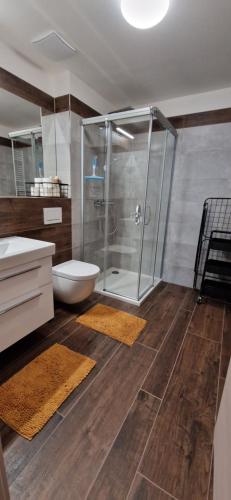 y baño con ducha, aseo y lavamanos. en Apartmán U Ludvíčka, en Smržovka