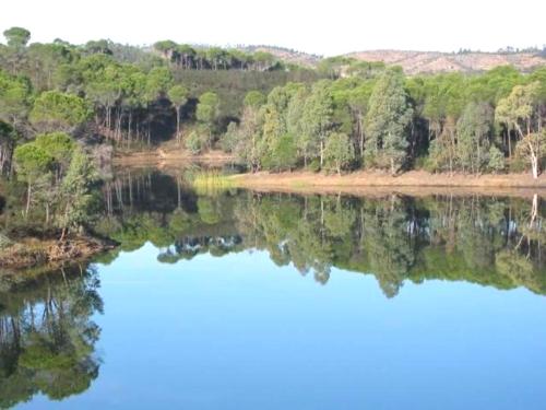 Paisaje cerca de este apartamento