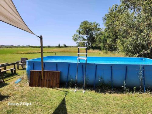 une piscine bleue avec une échelle dans un champ dans l'établissement Petite maison cosy, à Hyères