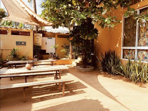 a group of picnic tables in front of a building at La Palmera Hostel in Puerto Escondido