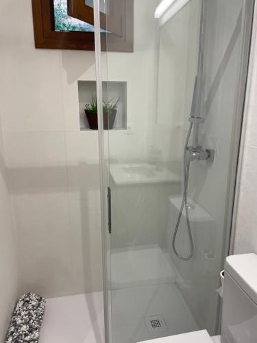 La salle de bains est pourvue d'une douche avec une porte en verre. dans l'établissement MEQUEDO VILLACOSTOSA, à Alcañiz