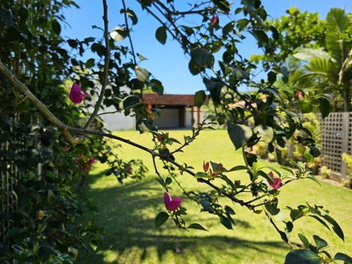 a view of a garden with pink flowers in the yard at HOTEL INDIANO in Rio Bonito