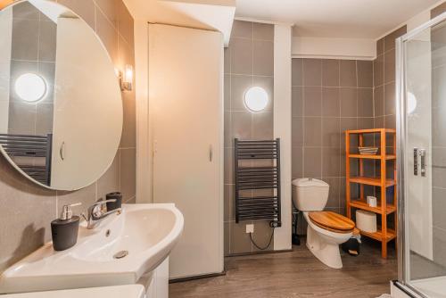 uma casa de banho com um lavatório, um WC e um espelho. em La FORGE Appartement chaleureux et Grands espaces em Molsheim