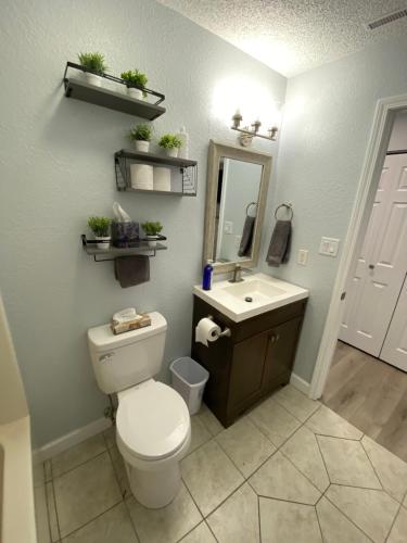 a bathroom with a toilet and a sink and a mirror at B Lakefront! Remodeled, Boat Slip, Patio Views, Pool, Boat Ramp, WIFI in Osage Beach