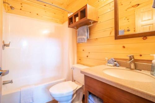 a bathroom with a toilet and a sink and a mirror at The Bear Den Cabin #12 at Blue Spruce RV Park & Cabins in Tuckerville