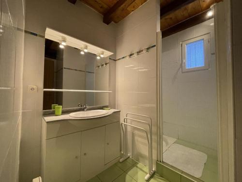 a bathroom with a sink and a glass shower at Haizalde in Saint-Jean-le-Vieux