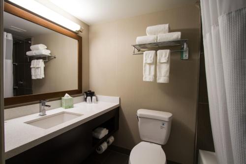 La salle de bains est pourvue d'un lavabo, de toilettes et d'un miroir. dans l'établissement Holiday Inn Victorville, an IHG Hotel, à Victorville