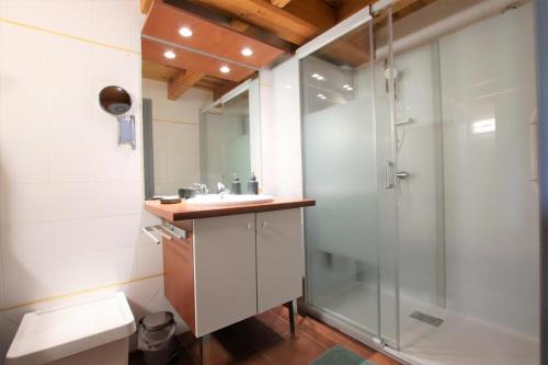 ein Bad mit einer Dusche, einem Waschbecken und einem WC in der Unterkunft Le jai alai in Saint-Jean-Pied-de-Port
