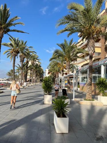 Beautiful Apartment Playa Del Cura Beach in Torrevieja Spain photo 40