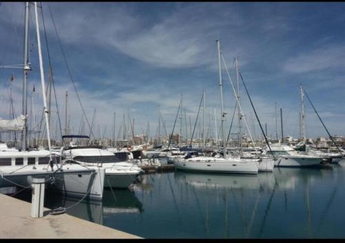 Beautiful Apartment Playa Del Cura Beach in Torrevieja Spain photo 41