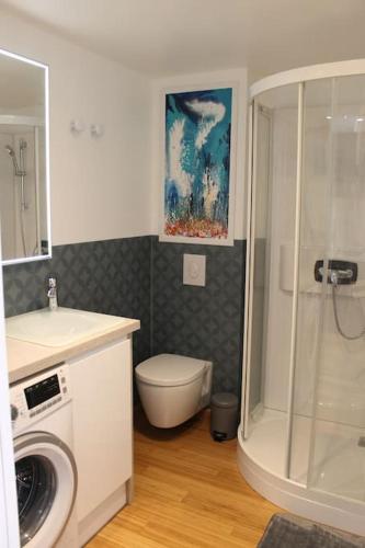 a bathroom with a toilet and a sink and a shower at Le Clos Voltaire in Chalons en Champagne