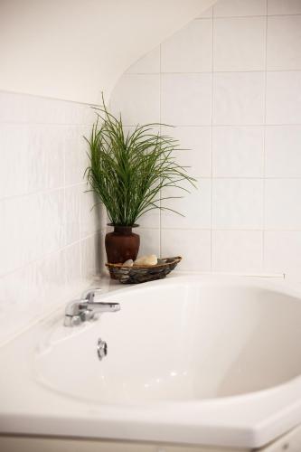 un lavabo con una maceta encima en The Waters Edge, en Rathmullan