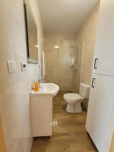 La salle de bains est pourvue d'un lavabo et de toilettes. dans l'établissement Grześny Domek, à Zbiczno