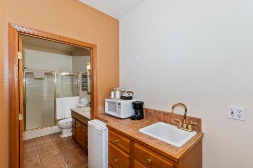 a bathroom with a sink and a microwave on a counter at Robinhood Resort in Big Bear Lake