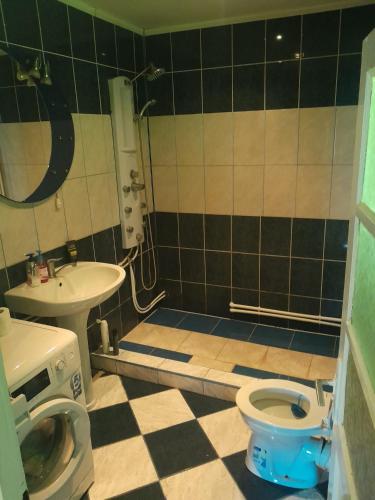 a bathroom with a shower and a toilet and a sink at Casă de relaxare in Brad