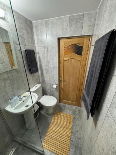 a bathroom with a toilet and a wooden door at Cabana AlexMid in Ranca