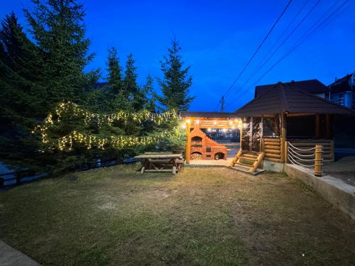 einen Hinterhof mit einem Picknicktisch und ein Haus mit Lichtern in der Unterkunft Cabana AlexMid in Ranca