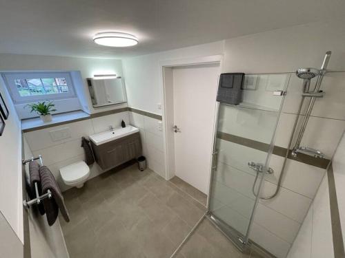 een badkamer met een douche, een toilet en een wastafel bij Hochwertige Ferienwohnung im Bauernhaus in Freital