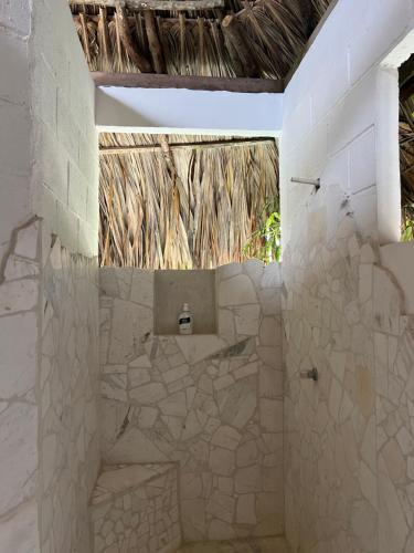 內科克利的住宿－AFRO HOSTEL，带淋浴和卫生间的浴室。