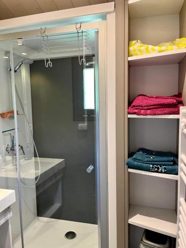 La salle de bains est pourvue d'une douche à l'italienne avec une porte vitrée. dans l'établissement Le Chalet de la Folie, à Corcieux