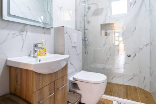 La salle de bains est pourvue de toilettes, d'un lavabo et d'une douche. dans l'établissement Pavle's Oasis, à Virpazar
