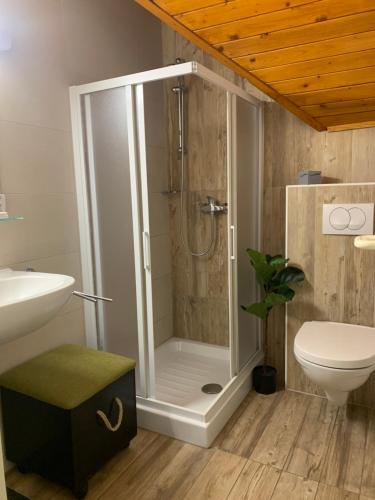 uma casa de banho com um chuveiro, um WC e um lavatório. em Apartma AS em Podčetrtek