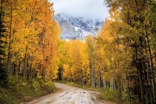 a dirt road through a forest with fall trees at 28 Dragoon Ct in Pagosa Springs