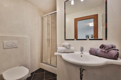 W łazience znajduje się umywalka, toaleta i lustro. w obiekcie Appart Mein Fiegl w mieście Oetz