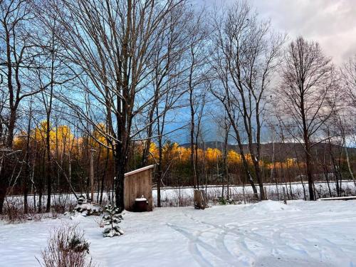 a small shed in a snow covered field with trees at Maine Mountain Retreat in Bethel