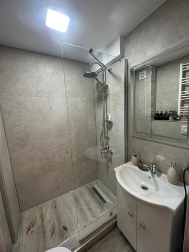 a bathroom with a shower and a sink at Angel House in Deva