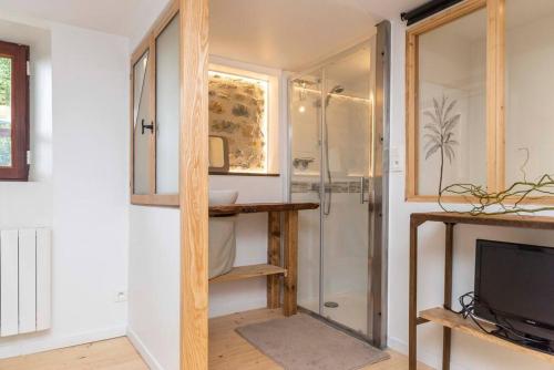 baño con ducha y TV en Maisonnette duplex avec jacuzzi/sauna attenant en Saint-Martin-des-Entrées