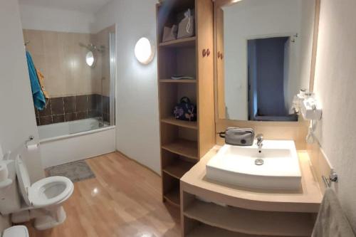 une salle de bain avec un lavabo et des toilettes dans l'établissement Appartement Duplex T3 6 personnes les Orres 1800 Tout Confort Pied des Pistes, aux Orres