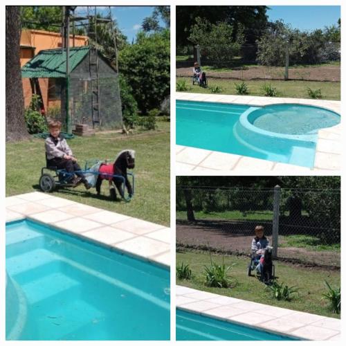 a collage of four pictures of a boy and a dog by a pool at La Ilusión in Campos Salles
