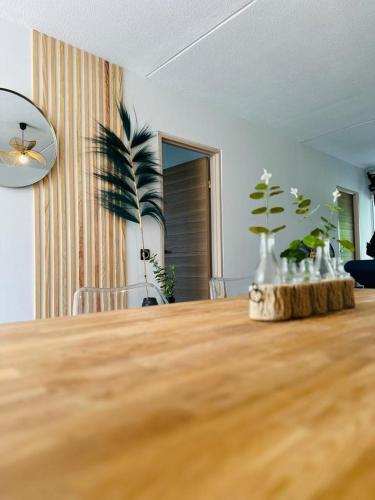 SAB Location - Appartement