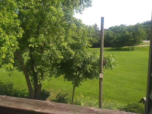 a telephone pole with a tree in a field at Bass Creek's Apt A in Janesville