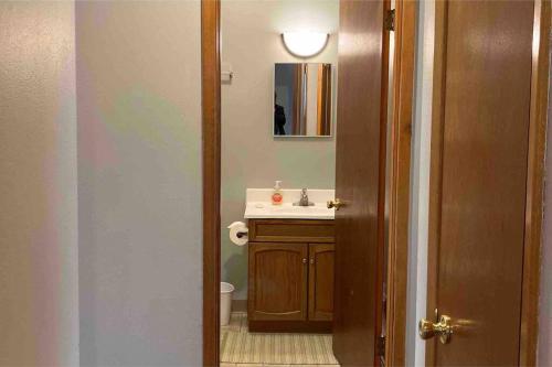 a bathroom with a sink and a mirror at Bass Creek's Apt A in Janesville